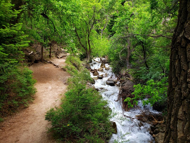 Hanging Lake Trail follows Dead Horse Creek.