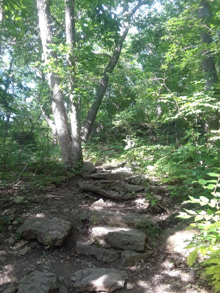 Rockier than expected on the Bethany Falls Trail.