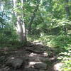 Rockier than expected on the Bethany Falls Trail.