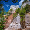 Canyon wall from the canyon floor.