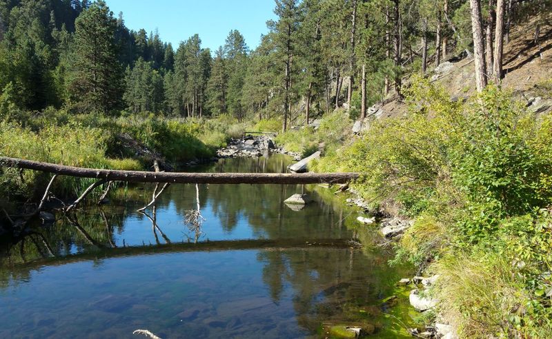 Spring Creek in September, looking southwest.