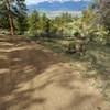 Trail #1434, view of the Collegiate Peaks/Sawatch Range.