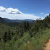 Taken looking south / downstream from mile 4.25 as described by the TRP description. The trail on the left heads downstream towards the southern trailhead / old South Platte Hotel. The trail on the right continues to gain elevation as it heads northbound.