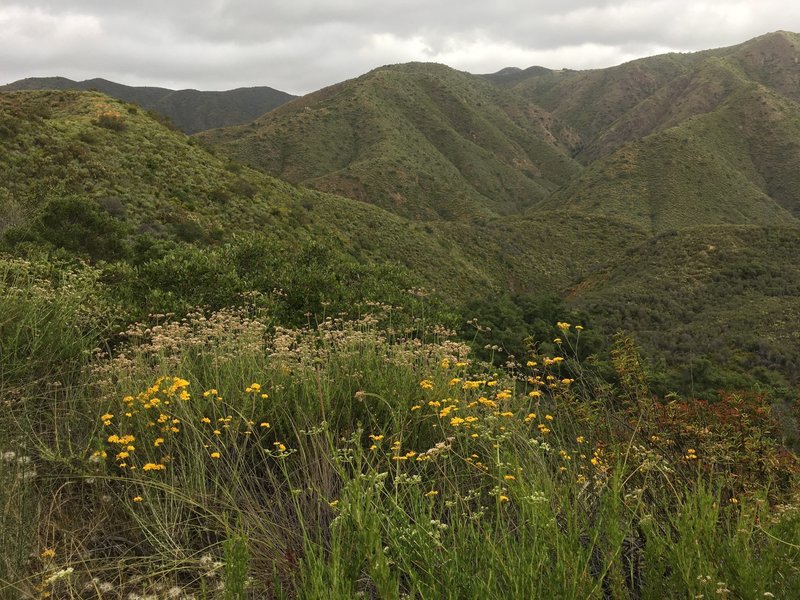 Steep slopes of Santa Ana Mountains.