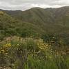 Steep slopes of Santa Ana Mountains.