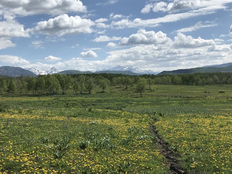 Amazing views in the meadow below Nipple Mountain.