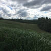 Rolling hills alongside trail.