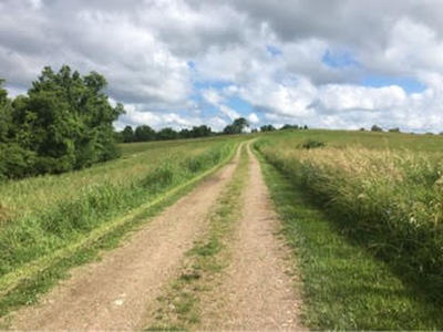 The beginning of the trail.
