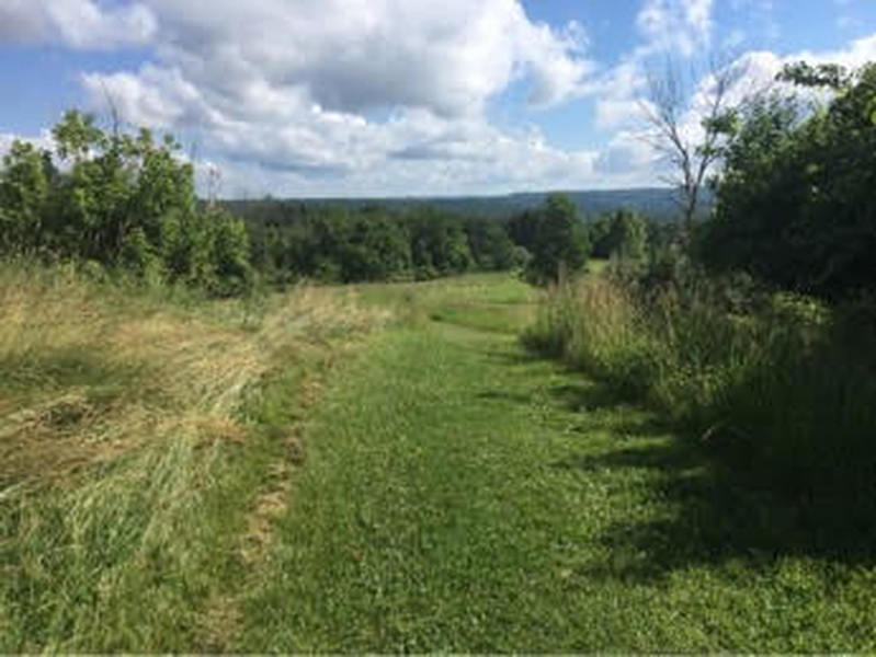 Trail leading down from Radar Hill.