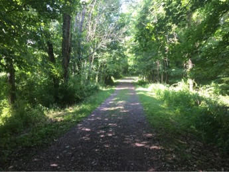 Second half of the Ridges Trail.