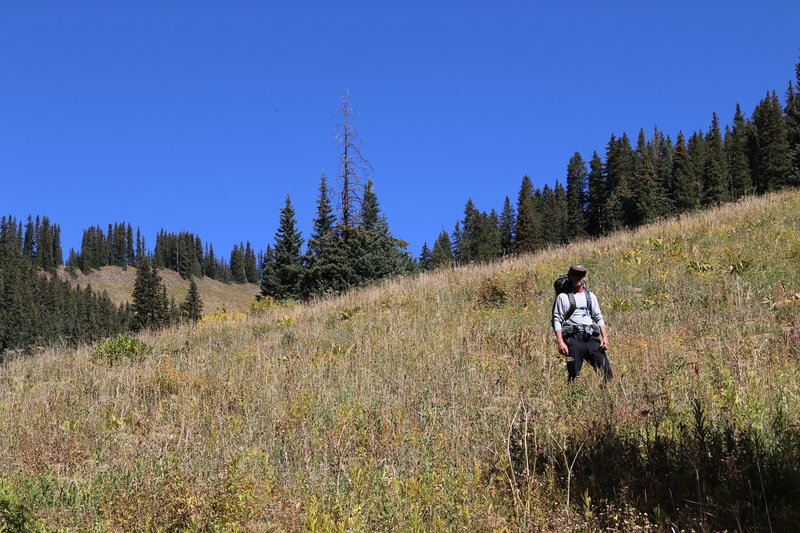 Trekking down from Peter Estin Hut.