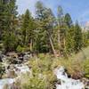 Heading to Lower Eagle Falls.