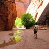 Chris runs past the large, open "chamber" near the end of Buckskin Gulch. There is a campsite here, but reservations are required years in advance.