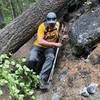 Tree down at the beginning of the trail.