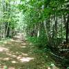 Wide open trails through the first 2.5 miles to Franconia tent site.