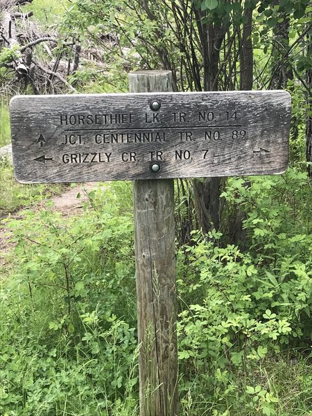 Trail marker.