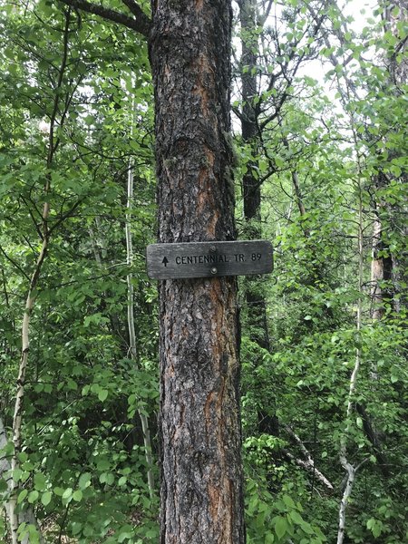 Trail marker.