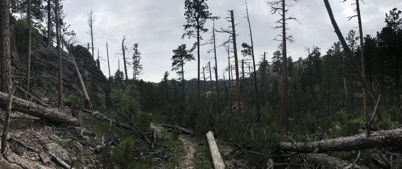 Looking south into the Black Elk Wilderness - panorama.