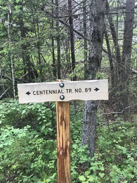 Trail marker.