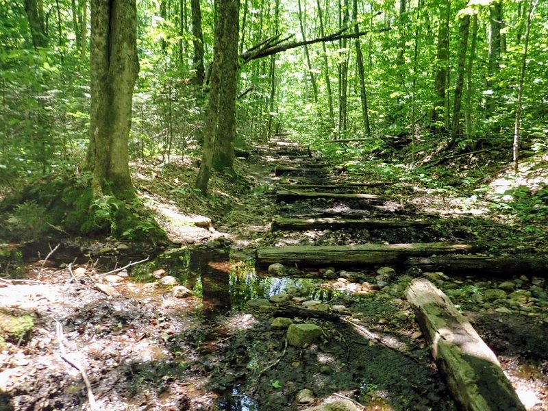 Long sections of the Pemi Loop are pockmarked with wooden logs.