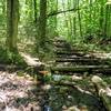 Long sections of the Pemi Loop are pockmarked with wooden logs.