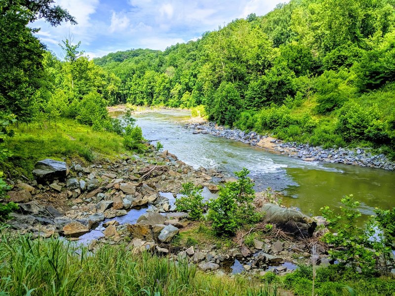 View of the Patapsco Valley from the Patapsco Thru Trail Pickall Section, just past the Route 40 overpass.