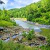 View of the Patapsco Valley from the Patapsco Thru Trail Pickall Section, just past the Route 40 overpass.