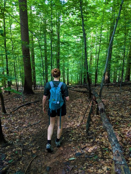 Hiker on Patapsco Thru Trail Pickall Section heading southward.