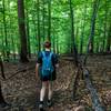 Hiker on Patapsco Thru Trail Pickall Section heading southward.