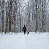 View down Old Rockhaven Trail under a blanket of snow.