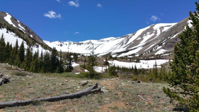 Cirque Valley below Mt. Columbia.