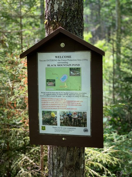 Black Mountain Pond Forest Protection Area (FPA) - practice good stewardship by respecting the FPA boundary.