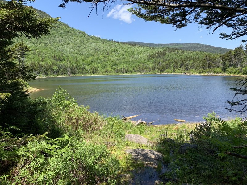 The top of Black Mountain Pond. The tent pads and camping sites are on the opposite side of the pond.