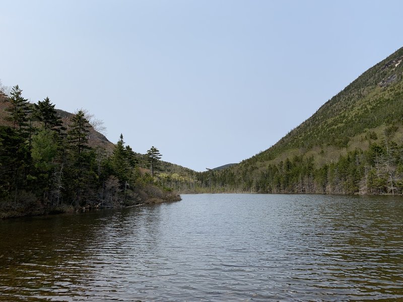 Lower Greeley Pond from the south end.