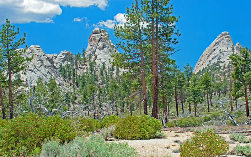 Looking towards saddle between Bart Dome and unnamed domes on the left. At first, they look similar in height, but by looking at the size of the trees, you can see that the unnamed domes are much closer.