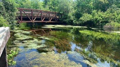 Connetquot River State Park Preserve In Hauppague