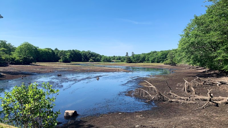 Dried-up lake.