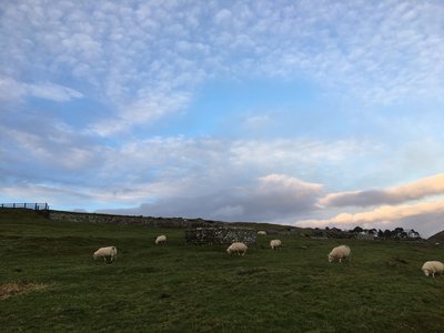 A few of the locals along the trail.