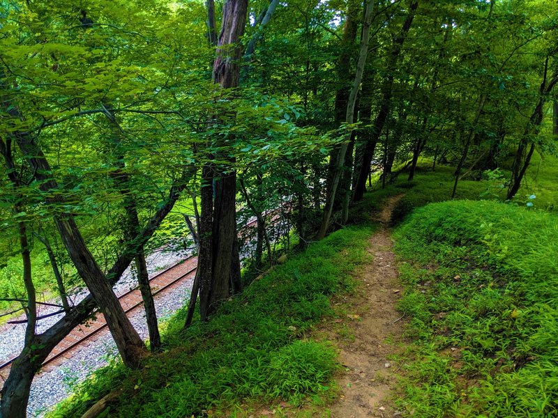 View of the Wood Marr trail as it follows the ridge above the railroad and the Patapsco River.