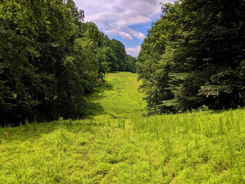 View down the right of way corridor on the Granite ROW Trail.