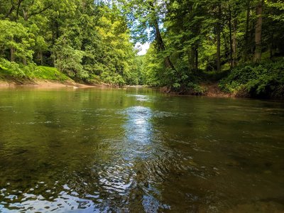 View across the water where the north (right) and south (center) forks of the Patapsco meet.