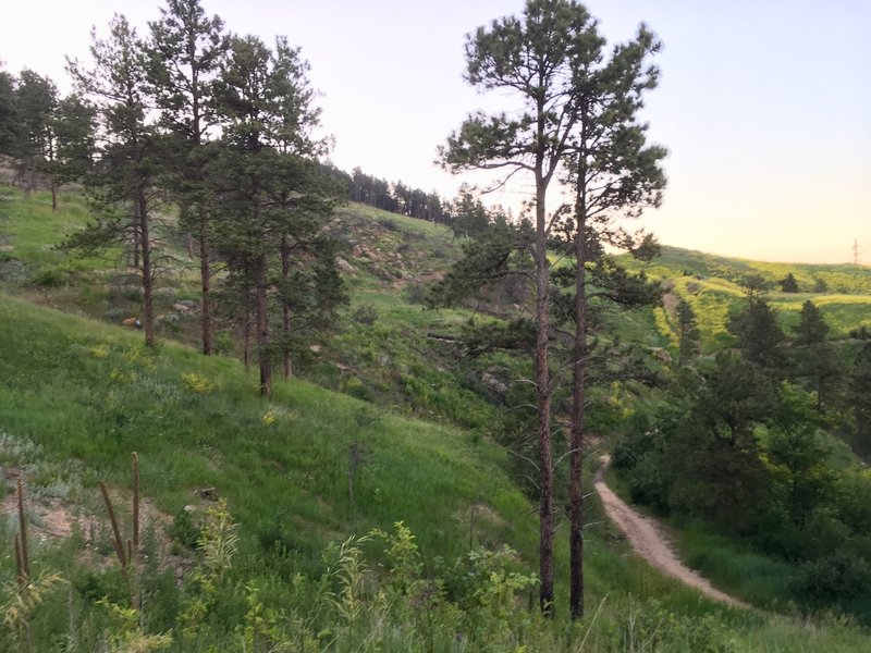 Looking back on the first climb of the trail.