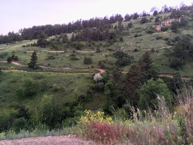 Looking back towards the trail across the ravine.