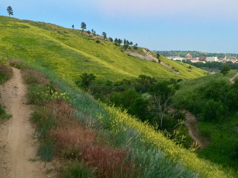 Near the turn back point, looking back to the city.