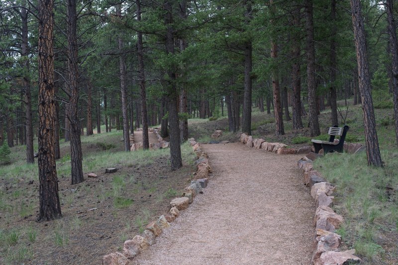 The trail rolls along the hillside above the visitor center. The trail makes its way through the forest, making it nice even on a sunny day.