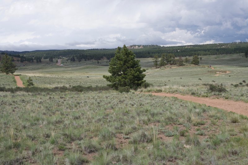 A view of the trail as it winds its way through the monument.