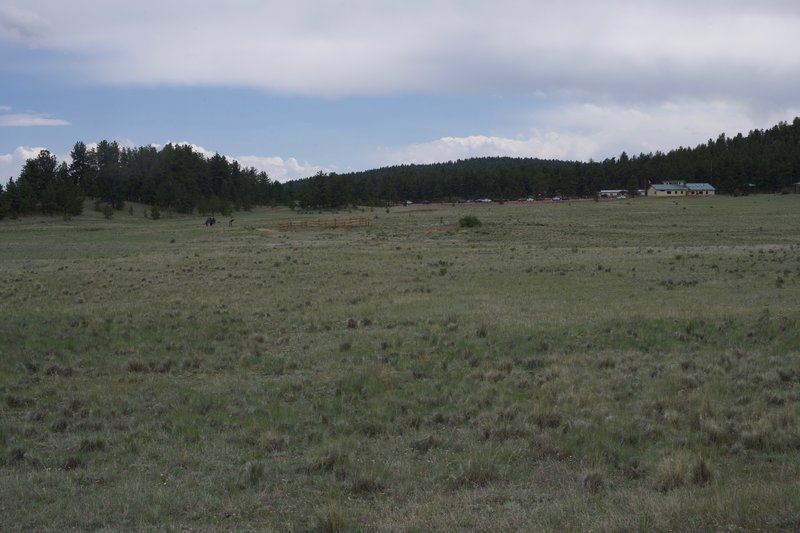 Looking back toward the visitor center, you can see corrals that protect the petrified redwood stumps.