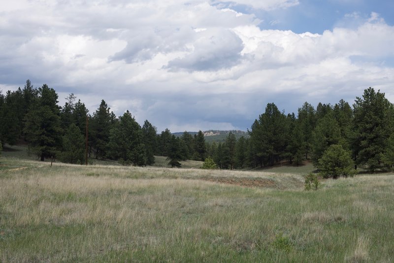 Views to the right of the trail show open fields and groups of pine trees that are common in the monument.