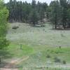 The trail drops down the hillside and meets up with the Hans Loop Trail.