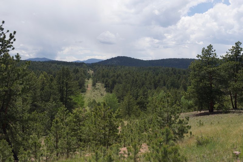 While it looks like the trail follows the road off into the distance, it will actually turn to the right at the bottom of the hill and head back to the visitor center. It does provide a good view of the surrounding area.